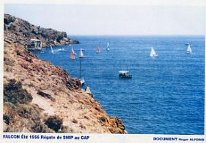 CAP FALCON (1039)